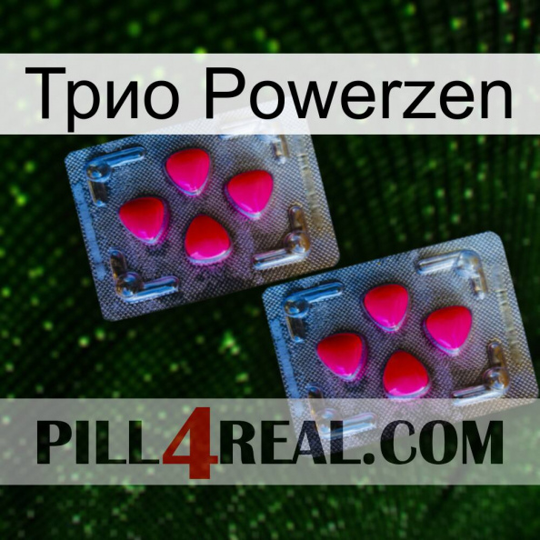 Трио Powerzen 14.jpg